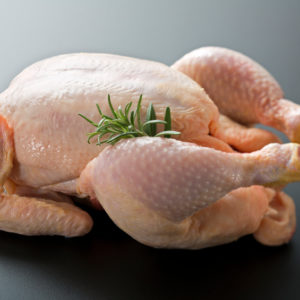 Pollo